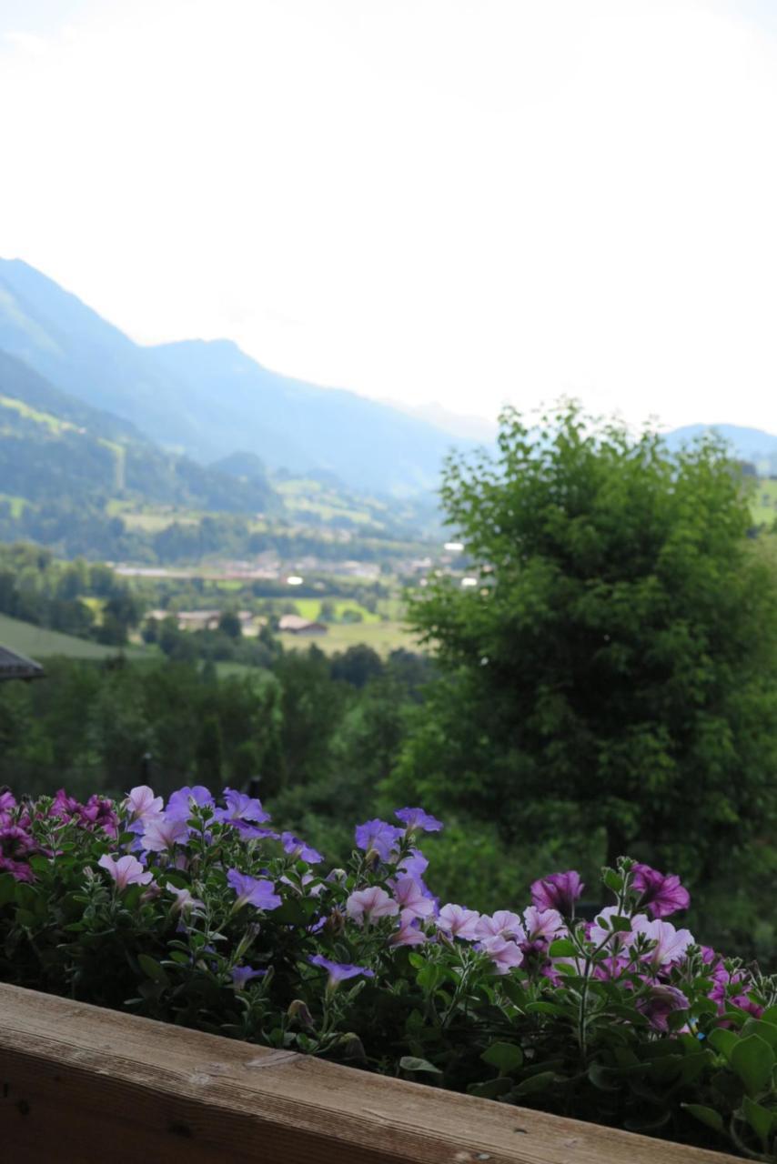 Appartement Haus Enzian à Sankt Johann im Pongau Extérieur photo